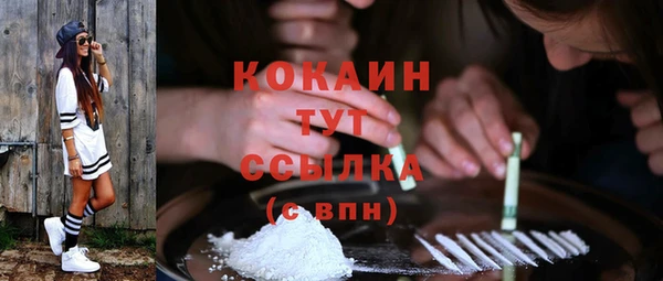 прущие грибы Козловка