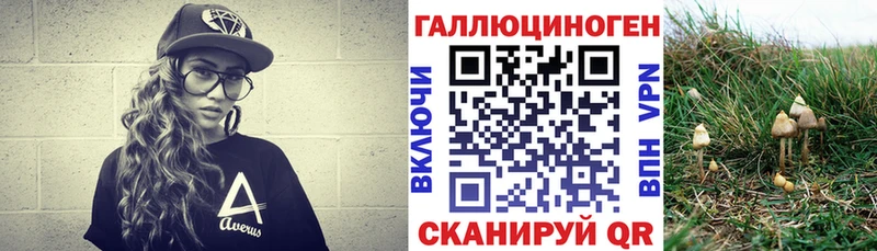 Купить закладки  Костерёво  Псилоцибиновые грибы мицелий 